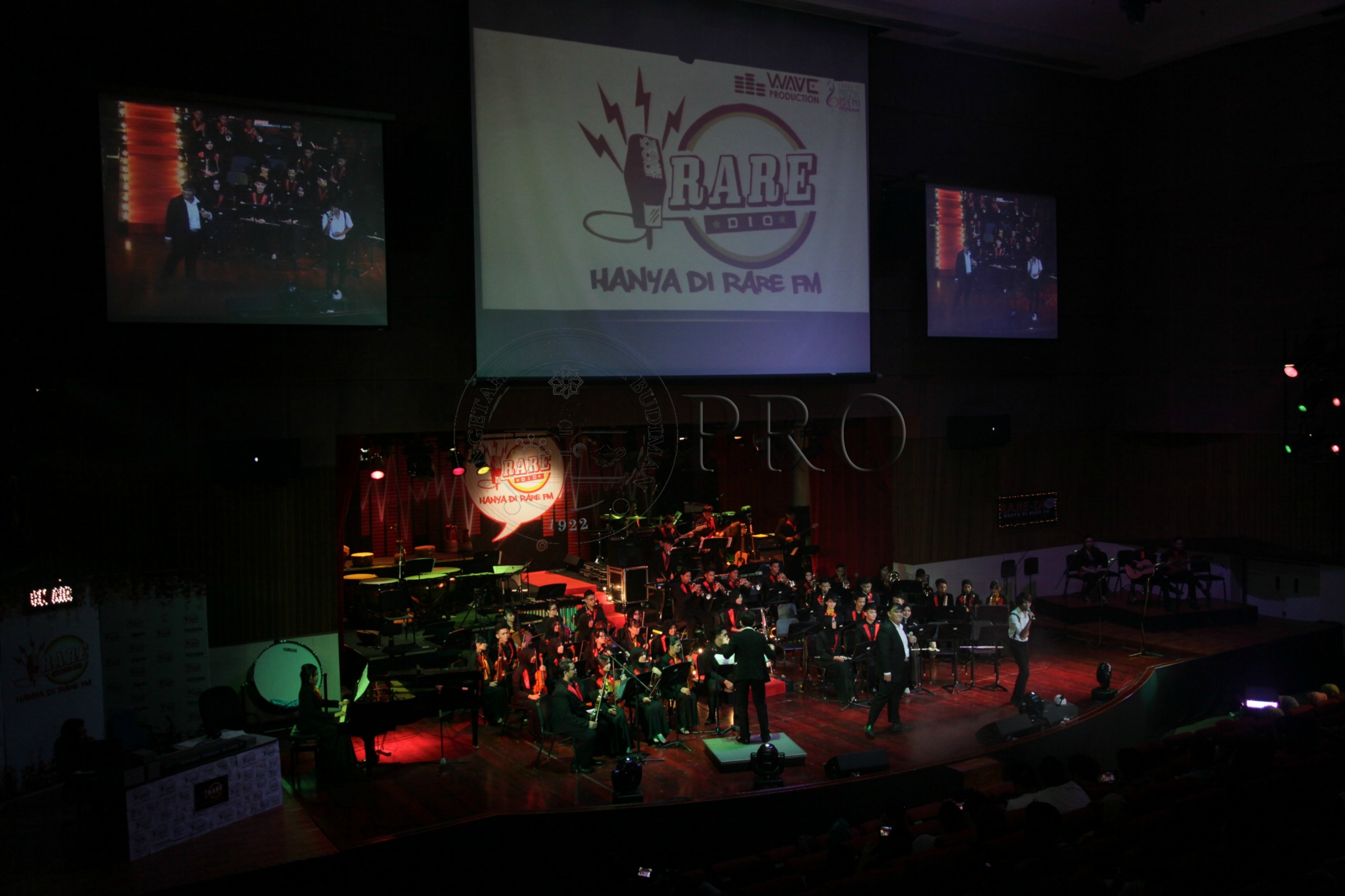 PRO 14 29 RARE IMG 0591